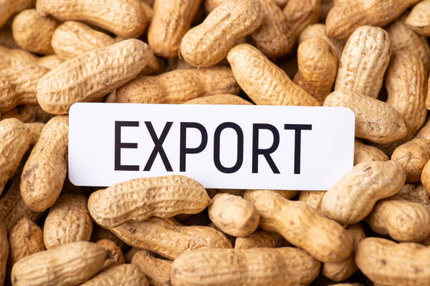 GROUNDNUT/PEANUT