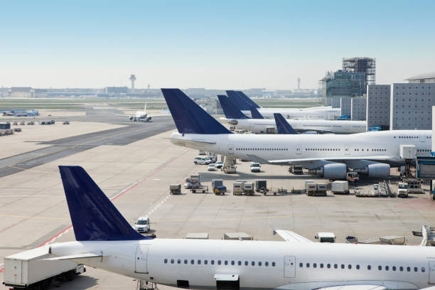 YOUR GATEWAY TO GLOBAL SHIPPING: AIR FREIGHT FROM TANZANIA