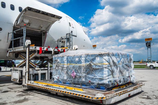 FAST AND RELIABLE AIR FREIGHT FROM TANZANIA TO THE WORLD