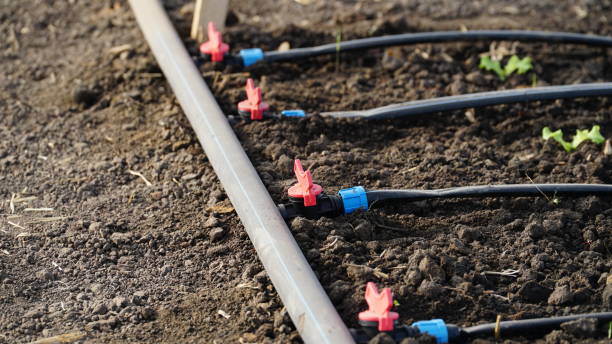DRIP IRRIGATION SYSTEM – SAVE WATER, BOOST YIELD!