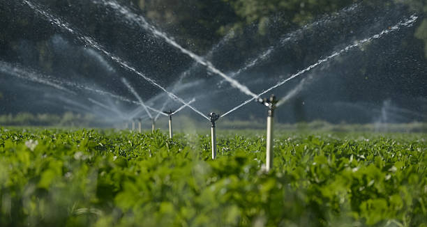 WIDER IRRIGATION SYSTEM – POWERFUL WATERING FOR LARGE-SCALE FARMS!