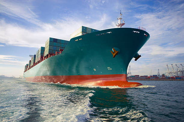 GO GLOBAL FROM TANZANIA WITH TILIONEA TRANSPORT SERVICES